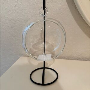 Elegant Clear Glass Hanging Terrarium